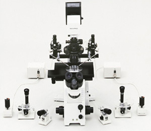EVIDENT set